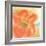 Coral Poppy II-Chris Paschke-Framed Art Print