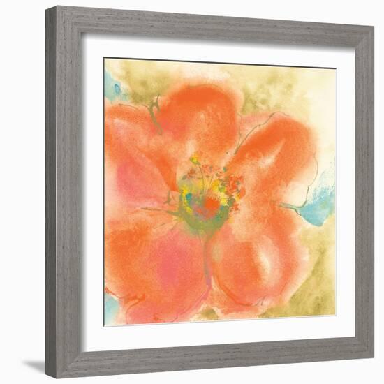 Coral Poppy II-Chris Paschke-Framed Art Print