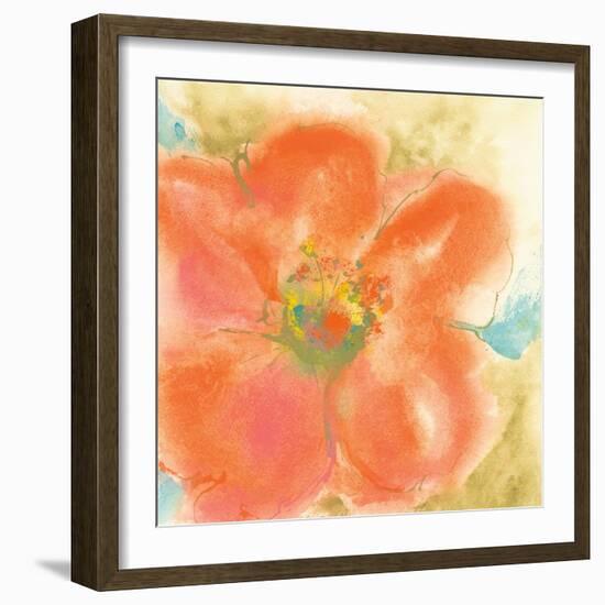 Coral Poppy II-Chris Paschke-Framed Art Print