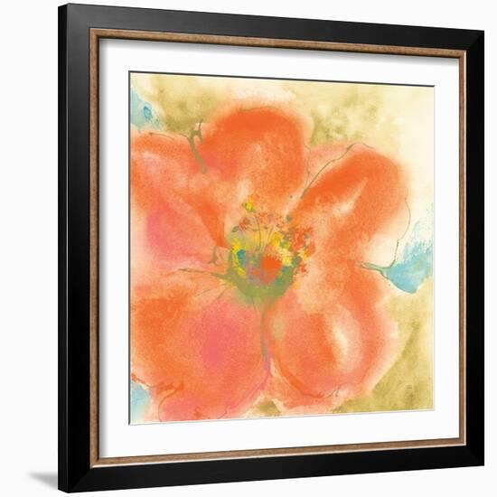 Coral Poppy II-Chris Paschke-Framed Art Print