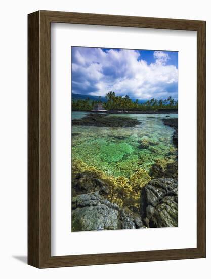 Coral Reef and Heixu, Pu'Uhonua O Honaunau National Historic Park, Kona Coast, Hawaii, Usa-Russ Bishop-Framed Photographic Print