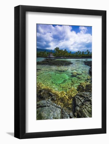 Coral Reef and Heixu, Pu'Uhonua O Honaunau National Historic Park, Kona Coast, Hawaii, Usa-Russ Bishop-Framed Photographic Print