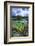 Coral Reef and Heixu, Pu'Uhonua O Honaunau National Historic Park, Kona Coast, Hawaii, Usa-Russ Bishop-Framed Photographic Print