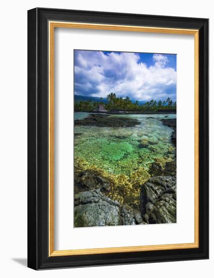 Coral Reef and Heixu, Pu'Uhonua O Honaunau National Historic Park, Kona Coast, Hawaii, Usa-Russ Bishop-Framed Photographic Print