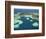 Coral Reef and Malolo Lailai Island, Mamanuca Islands, Fiji-David Wall-Framed Photographic Print