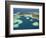 Coral Reef and Malolo Lailai Island, Mamanuca Islands, Fiji-David Wall-Framed Photographic Print