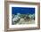 Coral Reef Diversity, Fiji-Pete Oxford-Framed Photographic Print