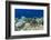 Coral Reef Diversity, Fiji-Pete Oxford-Framed Photographic Print