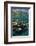 Coral Reef Diversity, Fiji-Pete Oxford-Framed Photographic Print