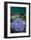 Coral Reef Diversity, Fiji-Pete Oxford-Framed Photographic Print