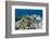 Coral Reef Diversity, Fiji-Pete Oxford-Framed Photographic Print