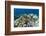 Coral Reef Diversity, Fiji-Pete Oxford-Framed Photographic Print