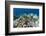 Coral Reef Diversity, Fiji-Pete Oxford-Framed Photographic Print