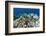 Coral Reef Diversity, Fiji-Pete Oxford-Framed Photographic Print