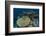 Coral Reef Diversity, Rainbow Reef, Fiji-Pete Oxford-Framed Photographic Print