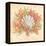 Coral Reef II-Kate McRostie-Framed Stretched Canvas