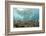 Coral Reef in Risong Bay, Micronesia, Palau-Reinhard Dirscherl-Framed Photographic Print