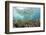 Coral Reef in Risong Bay, Micronesia, Palau-Reinhard Dirscherl-Framed Photographic Print