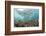 Coral Reef in Risong Bay, Micronesia, Palau-Reinhard Dirscherl-Framed Photographic Print