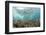 Coral Reef in Risong Bay, Micronesia, Palau-Reinhard Dirscherl-Framed Photographic Print