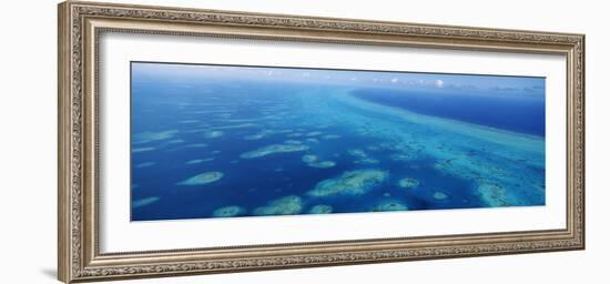 Coral Reef in the Sea, Belize Barrier Reef, Ambergris Caye, Caribbean Sea, Belize-null-Framed Photographic Print