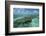 Coral Reef, Lighthouse Reef, Atoll, Belize-Pete Oxford-Framed Photographic Print