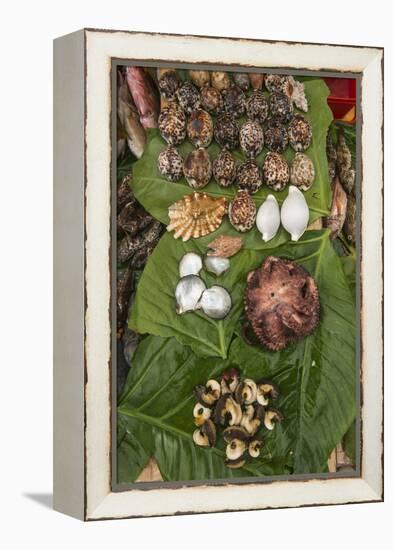 Coral Reef Species, Suva Sea Food Market, Suva, Viti Levu, Fiji-Pete Oxford-Framed Premier Image Canvas