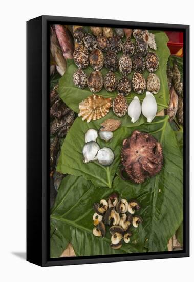 Coral Reef Species, Suva Sea Food Market, Suva, Viti Levu, Fiji-Pete Oxford-Framed Premier Image Canvas