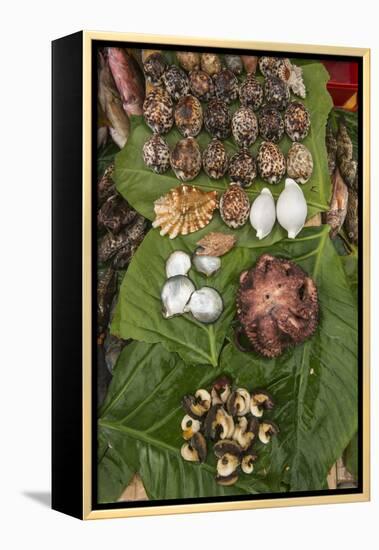 Coral Reef Species, Suva Sea Food Market, Suva, Viti Levu, Fiji-Pete Oxford-Framed Premier Image Canvas