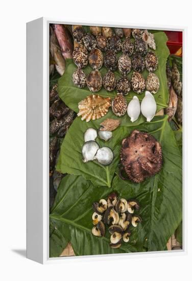 Coral Reef Species, Suva Sea Food Market, Suva, Viti Levu, Fiji-Pete Oxford-Framed Premier Image Canvas