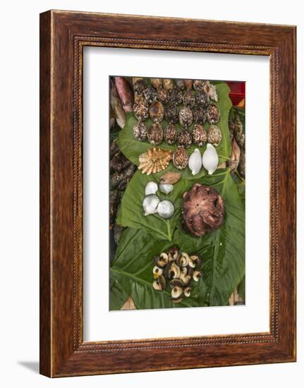 Coral Reef Species, Suva Sea Food Market, Suva, Viti Levu, Fiji-Pete Oxford-Framed Photographic Print