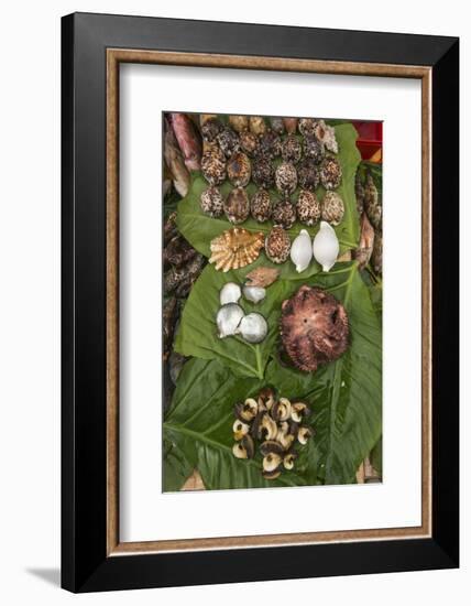 Coral Reef Species, Suva Sea Food Market, Suva, Viti Levu, Fiji-Pete Oxford-Framed Photographic Print