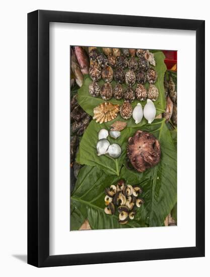 Coral Reef Species, Suva Sea Food Market, Suva, Viti Levu, Fiji-Pete Oxford-Framed Photographic Print