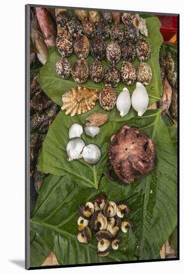 Coral Reef Species, Suva Sea Food Market, Suva, Viti Levu, Fiji-Pete Oxford-Mounted Photographic Print