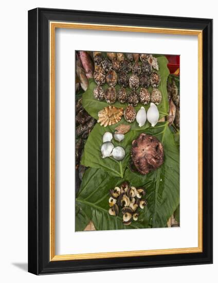 Coral Reef Species, Suva Sea Food Market, Suva, Viti Levu, Fiji-Pete Oxford-Framed Photographic Print