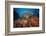 Coral Reef with Coloured Soft Corals, the Red Sea, Dahab, Egypt-Reinhard Dirscherl-Framed Photographic Print