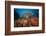 Coral Reef with Coloured Soft Corals, the Red Sea, Dahab, Egypt-Reinhard Dirscherl-Framed Photographic Print