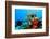 Coral Reef-AndamanSE-Framed Photographic Print