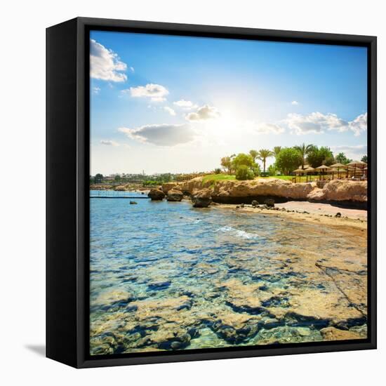 Coral Reefs on the Beach Near Hotel-Givaga-Framed Premier Image Canvas