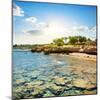 Coral Reefs on the Beach Near Hotel-Givaga-Mounted Photographic Print