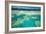 Coral River I-Larry Malvin-Framed Photographic Print