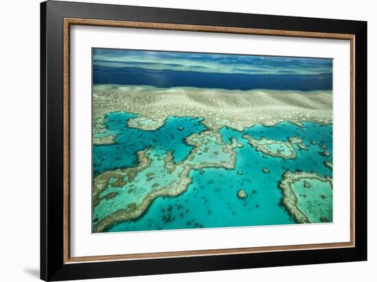 Coral River I-Larry Malvin-Framed Photographic Print