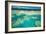 Coral River I-Larry Malvin-Framed Photographic Print