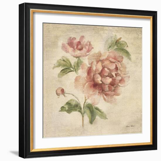 Coral Rose on Antique Linen Light-Cheri Blum-Framed Art Print