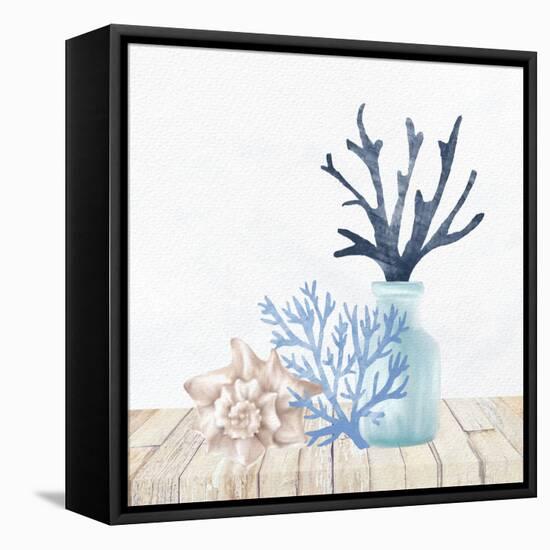 Coral Shelf 1-Kimberly Allen-Framed Stretched Canvas