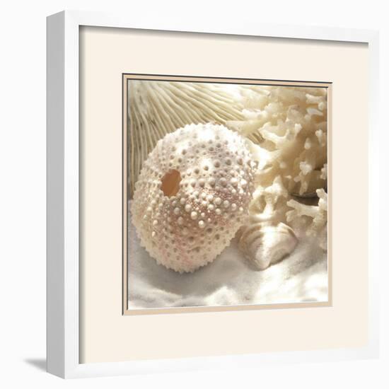 Coral Shell I-Donna Geissler-Framed Art Print