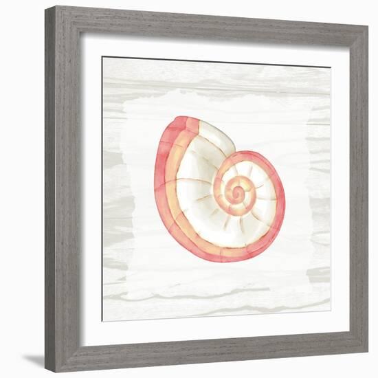 Coral Shells On Wood 1-Anne Bailey-Framed Art Print