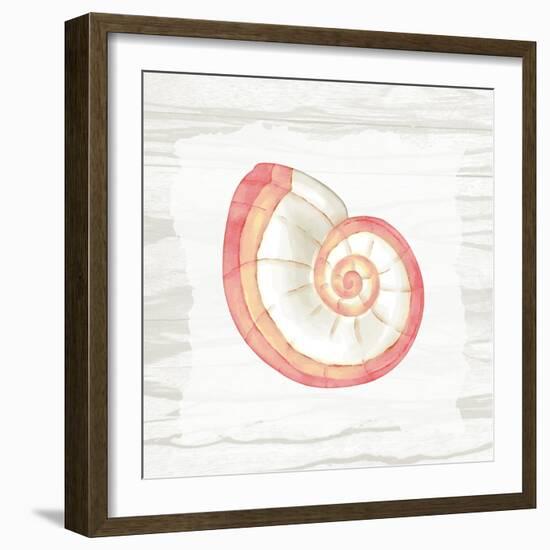 Coral Shells On Wood 1-Anne Bailey-Framed Art Print