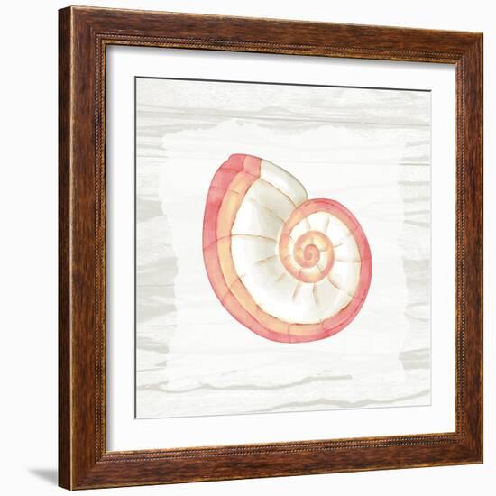 Coral Shells On Wood 1-Anne Bailey-Framed Art Print