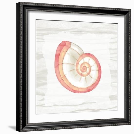 Coral Shells On Wood 1-Anne Bailey-Framed Art Print